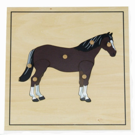 Puzzle du cheval avec squelette Montessori