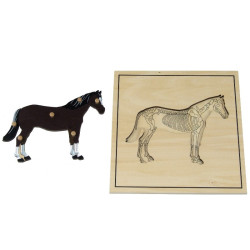 Puzzle du cheval avec squelette Montessori 2