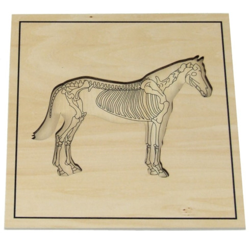 Puzzle du cheval avec squelette Montessori