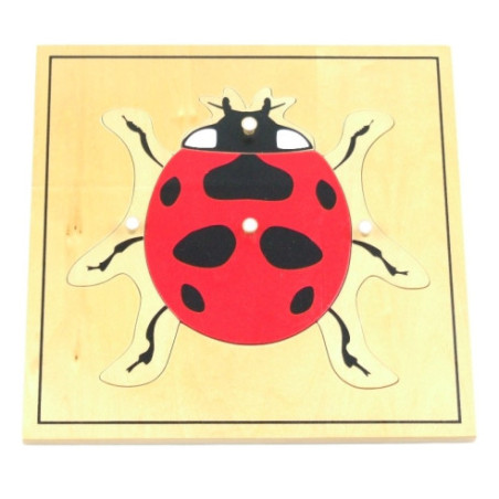 Puzzle de la coccinelle Montessori