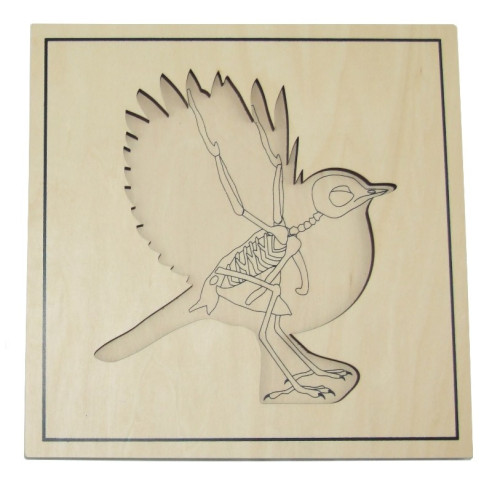 Puzzle de l'oiseau avec squelette Montessori