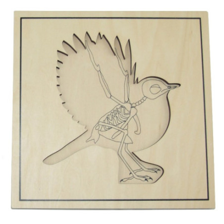 Puzzle de l'oiseau avec squelette Montessori