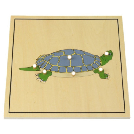 Puzzle de la tortue avec squelette Montessori