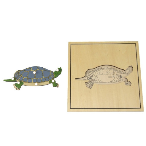 Puzzle de la tortue avec squelette Montessori