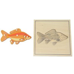 Puzzle du poisson avec squelette Montessori