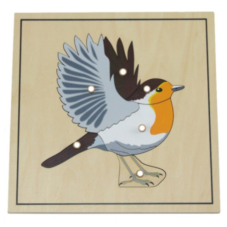 Puzzle de l'oiseau avec squelette Montessori