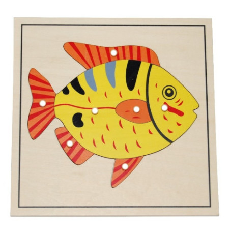 Puzzle du poisson Montessori Puzzle du poisson Montessori