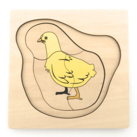 cycle de vie du poulet Montessori cycle de vie du poulet Montessori