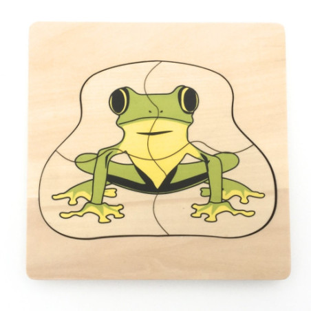 Puzzle cycle de vie de la grenouille Montessori