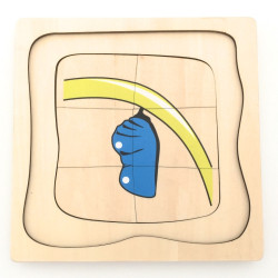 Puzzle cycle de vie du papillon Montessori 2