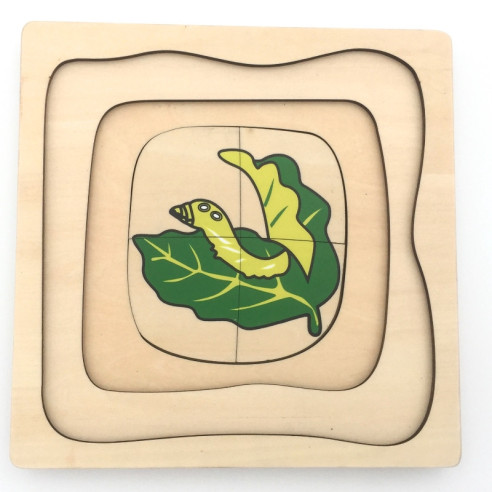 Puzzle cycle de vie du papillon Montessori