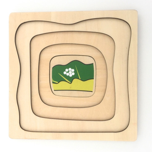 Puzzle cycle de vie du papillon Montessori