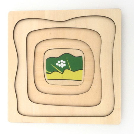 Puzzle cycle de vie du papillon Montessori