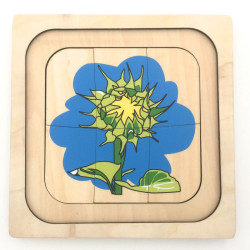 Puzzle cycle de vie du tournesol  Montessori 2