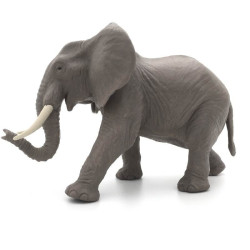 Animaux d'Afrique 1 2