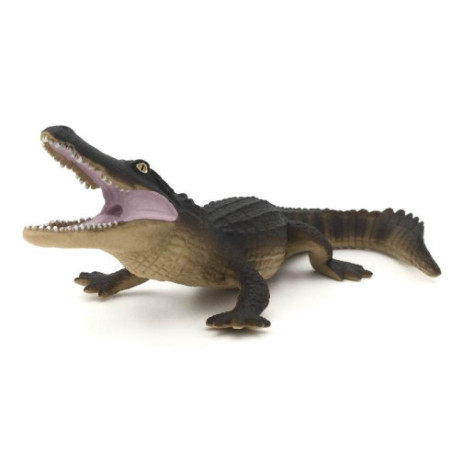 Animaux d'Afrique 1 - L'alligator