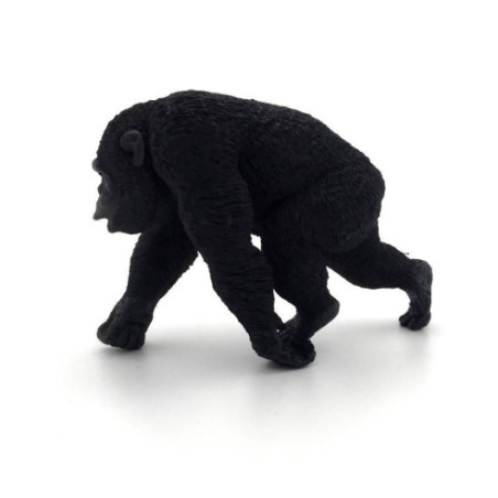 Animaux d'Afrique 2 - Le chimpanzé