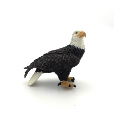 Animaux d'Amérique du Nord -Le pygargue à tête blanche