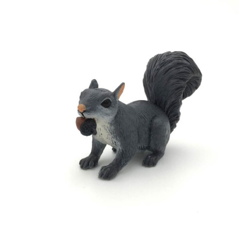 Animaux d'Amérique du Nord - L'écureuil gris