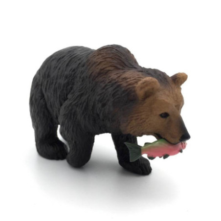 Animaux d'Amérique du Nord - Le grizzly