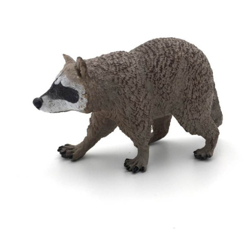 Animaux d'Amérique du Nord - Le raton laveur