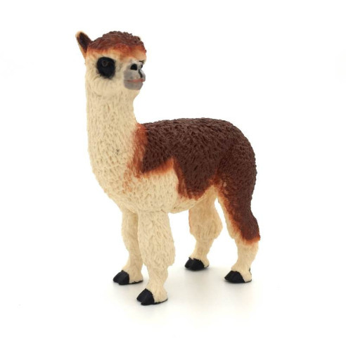 Animaux d'Amérique du Sud - L'aplaga