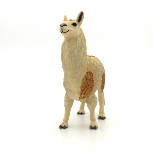 Animaux d'Amérique du Sud - Le lama