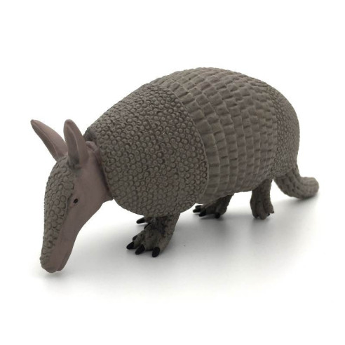 Animaux d'Amérique du Sud - Le tatou