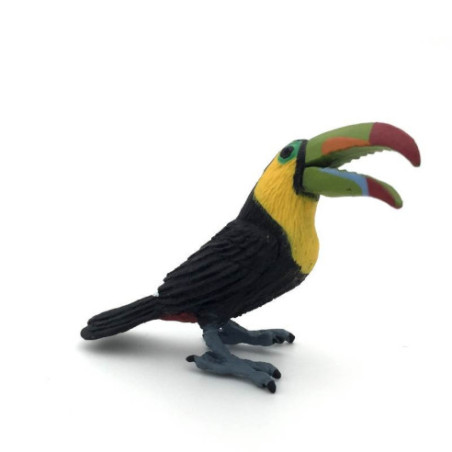 Animaux d'Amérique du Sud - Le toucan