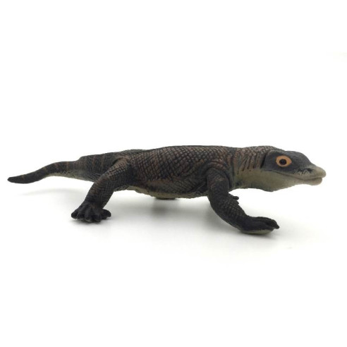 Animaux d'Asie - Le dragon de Komodo