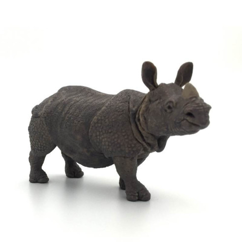 Animaux d'Asie - Le rhinocéros indien