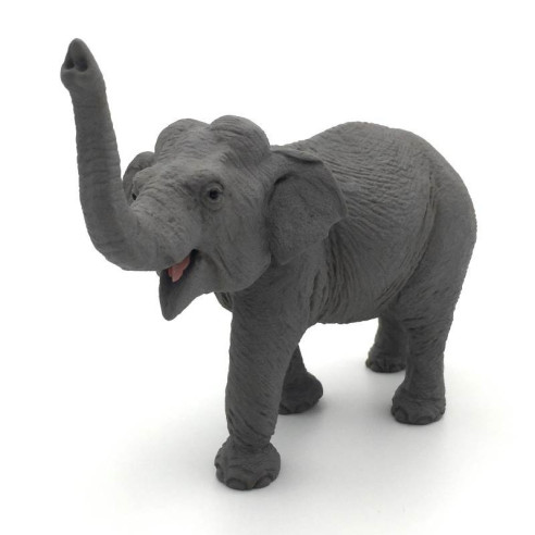 Animaux d'Asie - L'éléphant d'Asie