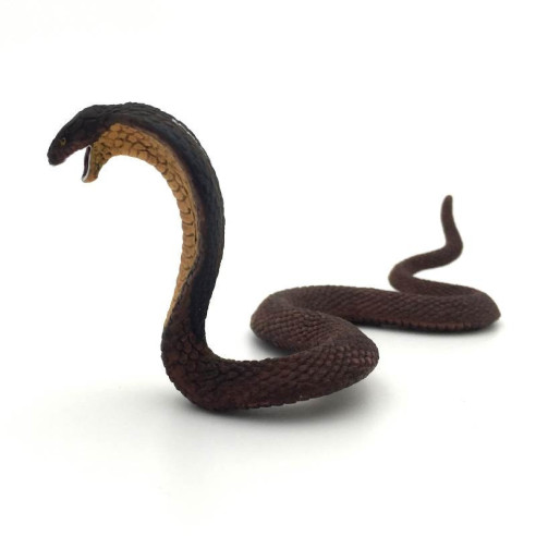 Animaux d'Asie - Le cobra