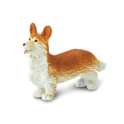 Tube - Animaux de compagnie