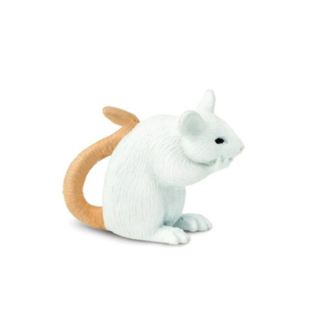 Tube - Animaux de compagnie