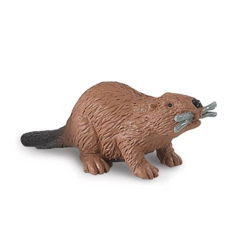 Tube - Animaux de rivière