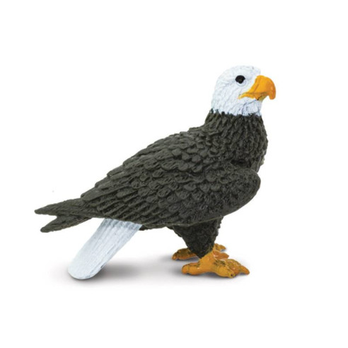 Tube - Animaux de rivière