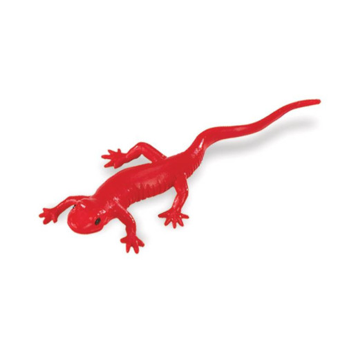 Tube - Animaux de rivière