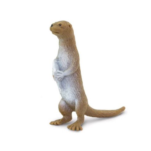 Tube - Animaux de rivière