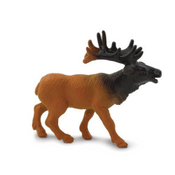 Tube - Dans les bois 2