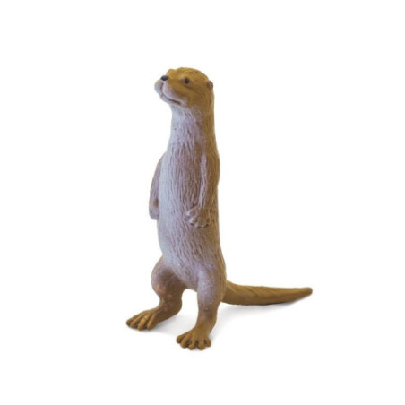 Tube - Dans les bois