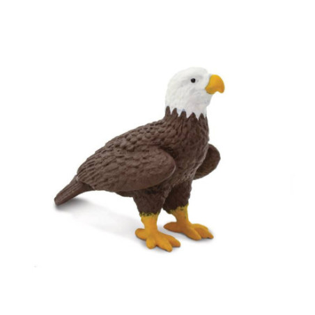 Tube - Dans les bois