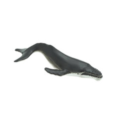 Tube - Baleines et dauphins 2