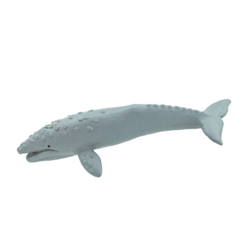 Tube - Baleines et dauphins