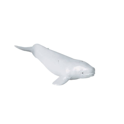 Tube - Baleines et dauphins