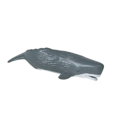 Tube - Baleines et dauphins