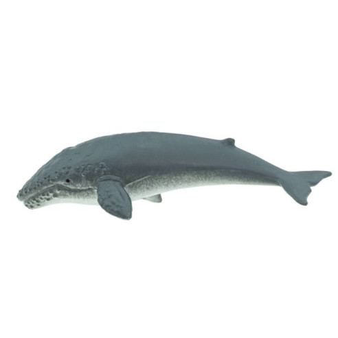 Tube - Baleines et dauphins