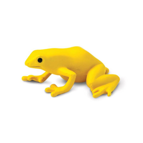 Tube - Les dendrobates