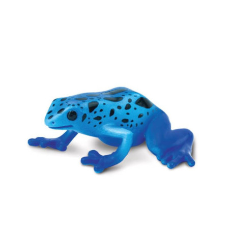 Tube - Les dendrobates