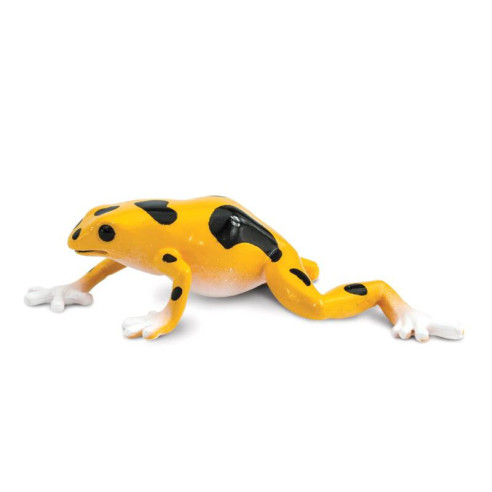 Tube - Les dendrobates